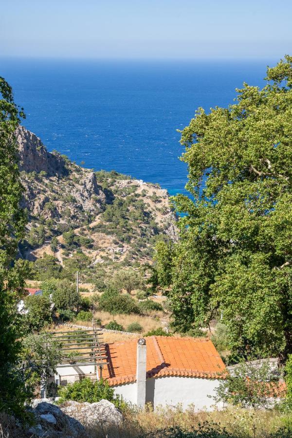 Mertonas Villa Kyra Panagia エクステリア 写真